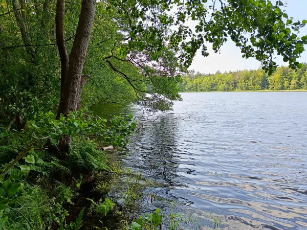 202506110-19 - Piansee bei Pian, Ruppiner Seenland, Brandenburg, Deutschland