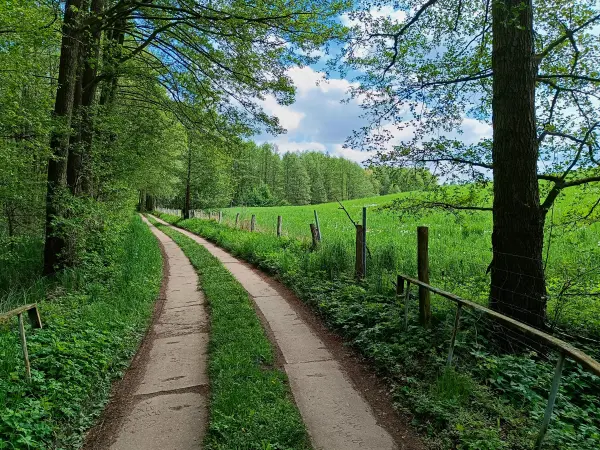 202605090-15 - Plattenweg am Wolletzsee, Uckermark, Brandenburg, Deutschland