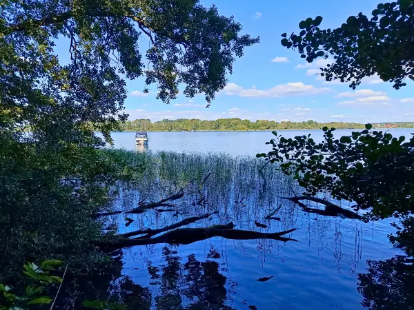 202508260-34 - Plauer See an der Insel Werder bei Alt Schwerin, Mecklenburgische Seenplatte, Mecklenburg-Vorpommern, Deutschland
