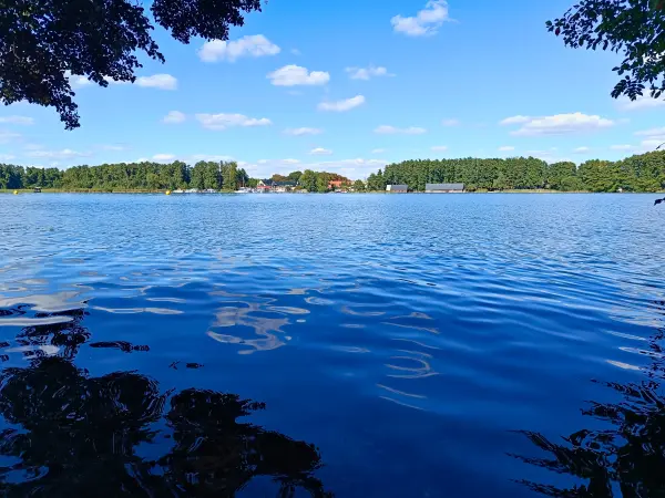 202508260-35 - Plauer See an der Insel Werder bei Alt Schwerin, Mecklenburgische Seenplatte, Mecklenburg-Vorpommern, Deutschland