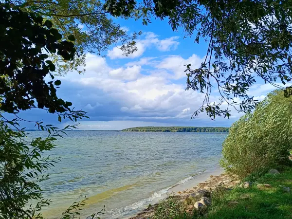 202509120-35 - Plauer See bei Lenz, Mecklenburgische Seenplatte, Mecklenburg-Vorpommern, Deutschland