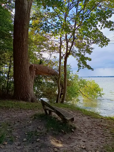 202509120-36 - Plauer See bei Lenz, Mecklenburgische Seenplatte, Mecklenburg-Vorpommern, Deutschland