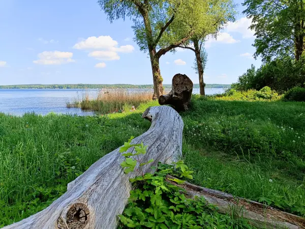 202605230-29 - Plauer See bei Plau am See, Mecklenburgische Seenplatte, Mecklenburg-Vorpommern, Deutschland