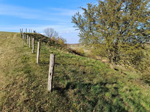 202604150-42 - Pontische Hänge bei Lebus, Seenland Oder-Spree, Brandenburg, Deutschland