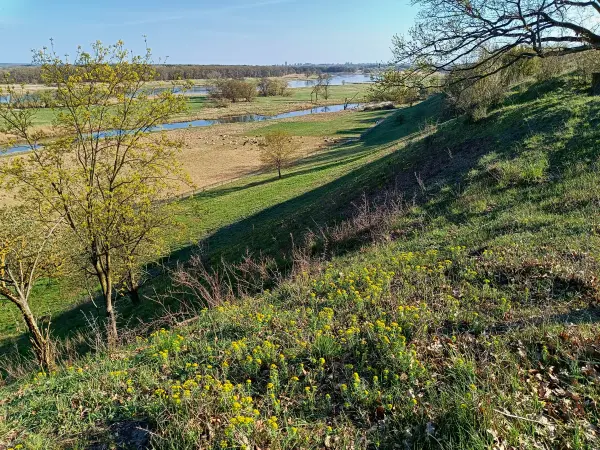 202604150-41 - Pontische Hänge und Oder bei Lebus, Seenland Oder-Spree, Brandenburg, Deutschland