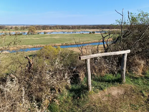 202604150-40 - Pontische Hänge und Oder bei Lebus, Seenland Oder-Spree, Brandenburg, Deutschland, Seenland Oder-Spree, Brandenburg, Deutschland