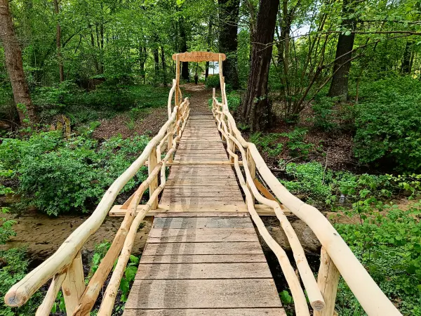 202505080-17 - Postwegbrücke bei Frohnsdorf, Fläming, Brandenburg, Deutschland
