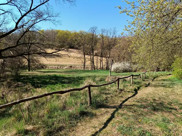 202604150-01 - Priesterschlucht bei Podelzig, Seenland Oder-Spree, Brandenburg, Deutschland