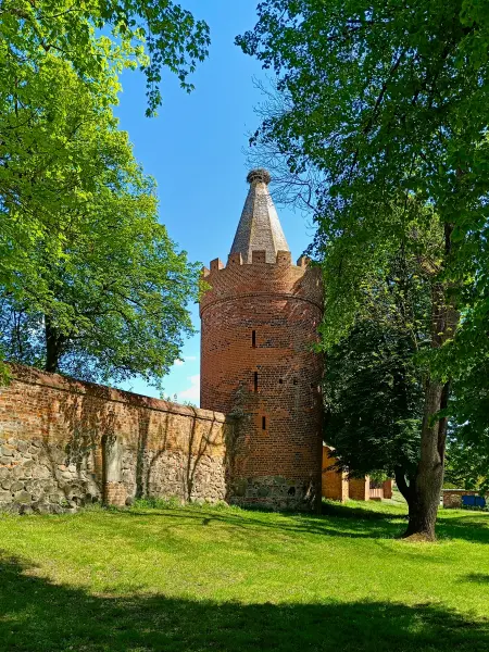 202605090-10 - Pulverturm und Stadtmauer in Angermünde, Uckermark, Brandenburg, Deutschland