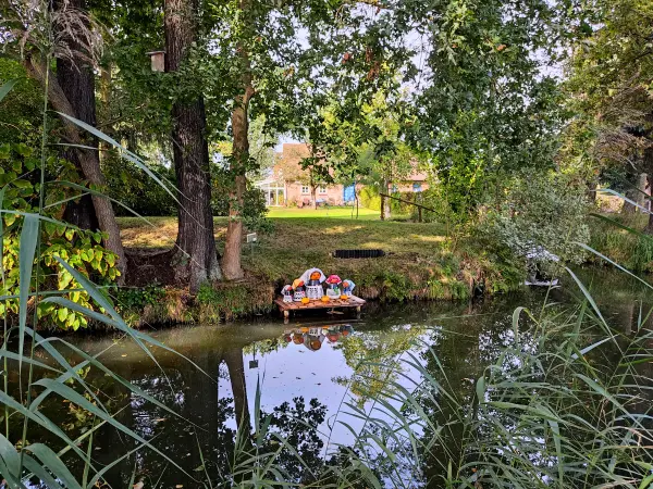 202310060-13 - Radduscher Kahnfahrt bei Kaupen, Spreewald, Brandenburg, Deutschand