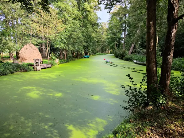 202310060-03 - Radduscher Kahnfahrt bei Raddusch, Spreewald, Brandenburg, Deutschland