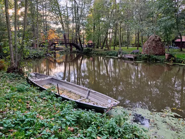 202311040-46 - Radduscher Kahnfahrt bei Raddusch, Spreewald, Brandenburg, Deutschland