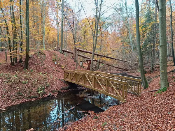 202511050-03 - Radebachtal bei Blankenberg, Mecklenburgische Seenplatte, Mecklenburg-Vorpommern, Deutschland