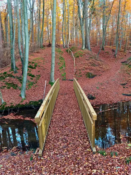 202511050-40 - Radebachtal bei Blankenberg, Mecklenburgische Seenplatte, Mecklenburg-Vorpommern, Deutschland
