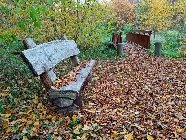 202511050-45 - Radebachtal bei Blankenberg, Mecklenburgische Seenplatte, Mecklenburg-Vorpommern, Deutschland