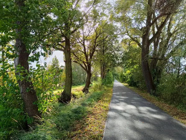 202610140-19 - Radweg bei Goßmar, Lausitz, Brandenburg, Deutschland