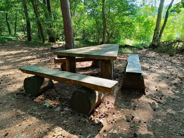 202508200-07 - Rastplatz an den Wienpietschseen im Müritz-Nationalpark, Mecklenburgische Seenplatte, Mecklenburg-Vorpommern, Deutschland