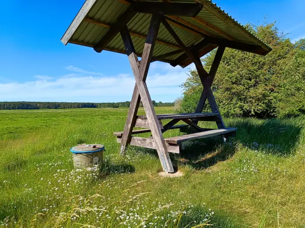 202605270-31 - Rastplatz bei Dobbin, Mecklenburgische Seenplatte, Mecklenburg-Vorpommern, Deutschland