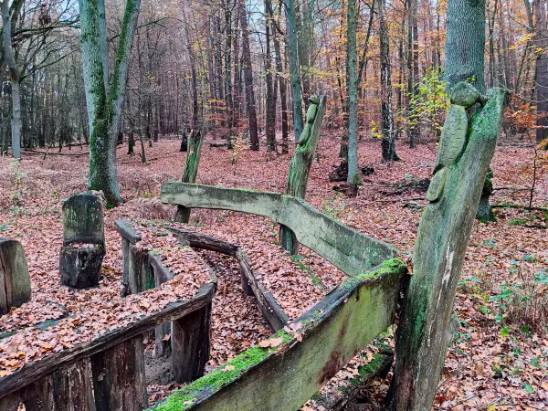202311180-09 - Rastplatz im Spandauer Forst, Berlin, Deutschland