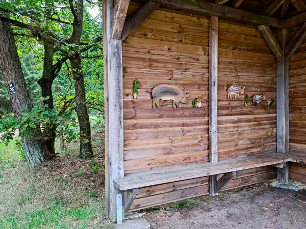202308140-16 - Rastplatz in der Misselhorner Heide bei Hermannsburg, Lüneburger Heide, Niedersachsen, Deutschland