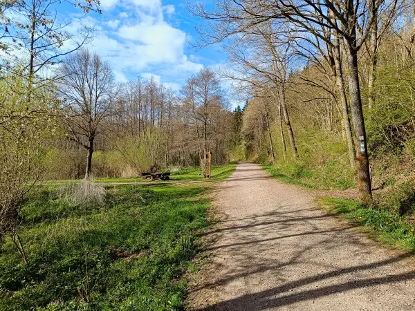 202604270-38 - Rastplatz Römerweiher bei Nettersheim, Eifel, Nordrhein-Westfalen, Deutschland