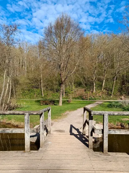 202604270-39 - Rastplatz Römerweiher bei Nettersheim, Eifel, Nordrhein-Westfalen, Deutschland