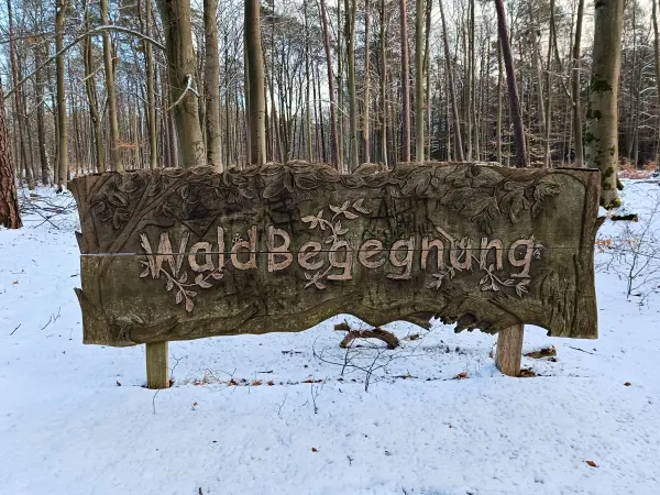 202502150-28 - Rastplatz »Waldbegegnung« bei Ützdorf, Barnimer Land, Brandenburg, Deutschland