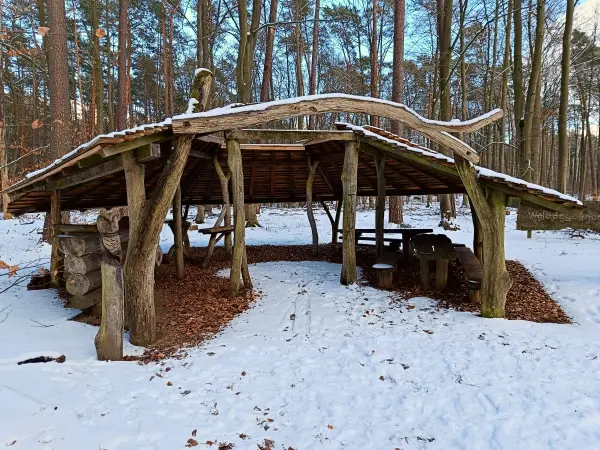 202502150-30 - Rastplatz »Waldbegegnung« bei Ützdorf, Barnimer Land, Brandenburg, Deutschland