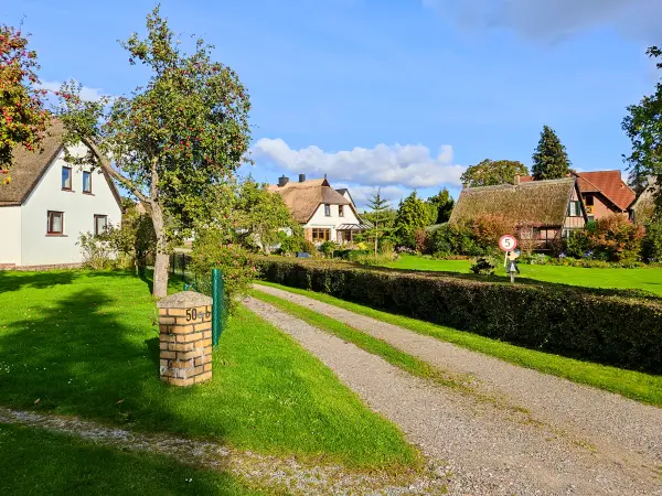 202310160-30 - Reetgedeckte Häuser in Neuendorf, Rügen, Mecklenburg-Vorpommern, Deutschland