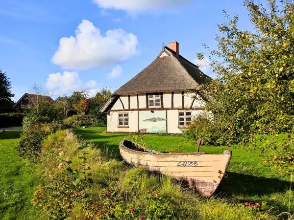 202310160-29 - Reetgedecktes Haus in Neuendorf, Rügen, Mecklenburg-Vorpommern, Deutschland