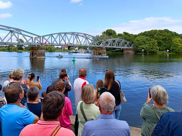 202507260-24 - Regatta beim Fischerjakobi-Fest in Plaue, Havelland, Brandenburg, Deutschland