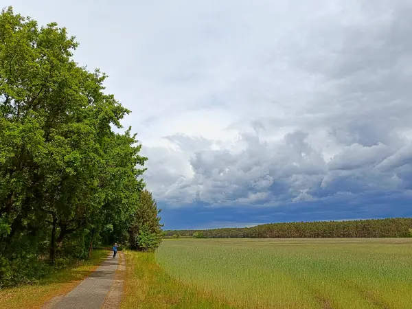 202505170-22 - Regenwolken über einem Feld bei Selchow, Seenland Oder-Spree, Brandenburg, Deutschland