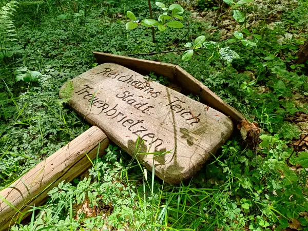 202505080-07 - Reichhelms-Teich bei Treuenbrietzen, Fläming, Brandenburg, Deutschland