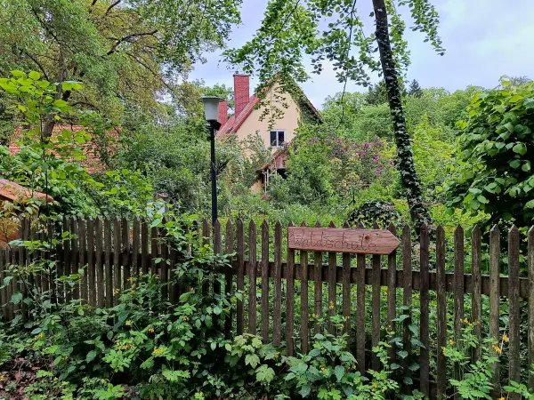 202605120-13 - Revierförsterei Dreilinden im Düppeler Forst, Berlin, Deutschland