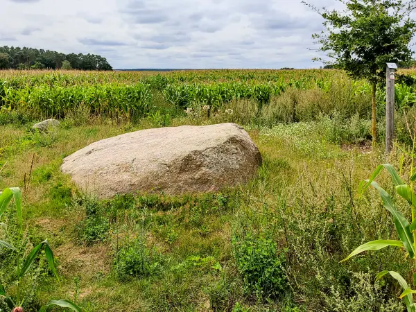 202308050-16 - Riesenstein bei Grubo, Fläming, Brandenburg, Deutschland