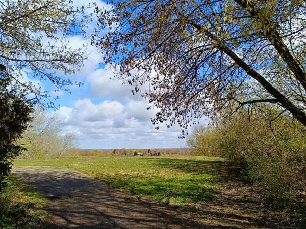 202604060-06 - Rodelberg im Freizeitpark Lübars, Berlin, Deutschland