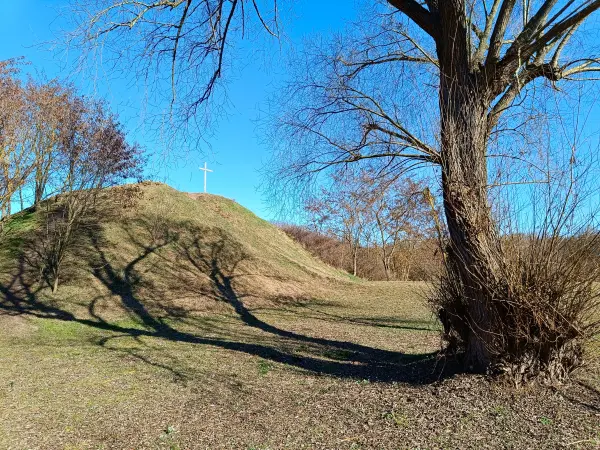 202603030-13 - Rodelberg in Dessau-Törten, Anhalt-Dessau-Wittenberg, Sachsen-Anhalt, Deutschland