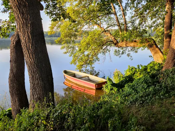 202309110-34 - Röblinsee bei Fürstenberg, Ruppiner Seenland, Brandenburg, Deutschland