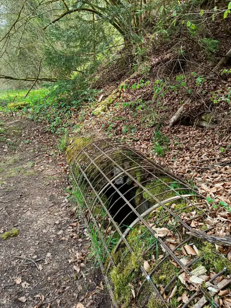 202604270-15 - Römische Wasserleitung bei Nettersheim, Eifel, Nordrhein-Westfalen, Deutschland