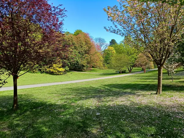 202604280-09 - Rombergpark in Dortmund, Ruhrgebiet, Nordrhein-Westfalen, Deutschland