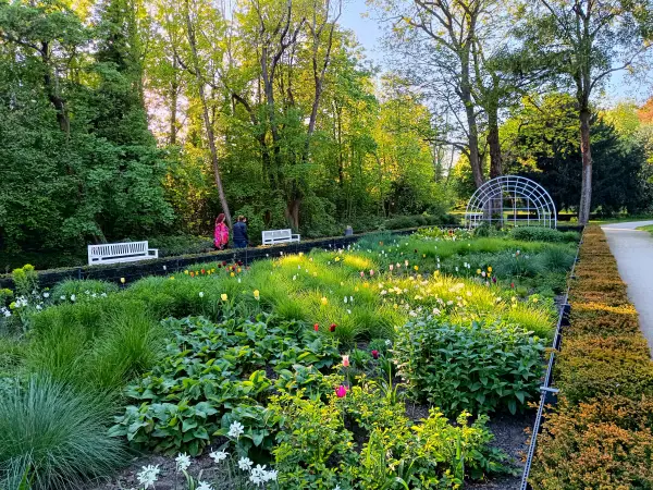 202604231-33 - Rosengarten in Neuss, Niederrhein, Nordrhein-Westfalen, Deutschland