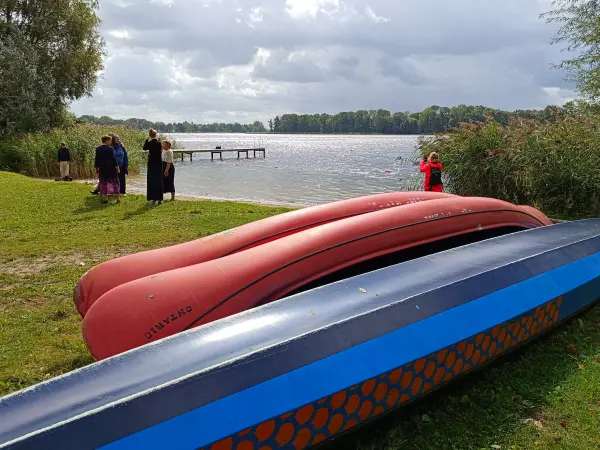 202609050-11 - Ruppiner See bei Gnewikow, Ruppiner Seenland, Brandenburg, Deutschland