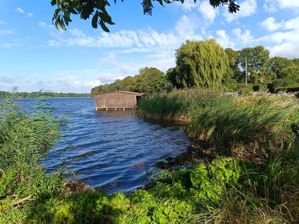 202609050-04 - Ruppiner See bei Karwe, Ruppiner Seenland, Brandenburg, Deutschland