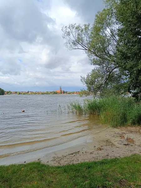 202609050-17 - Ruppiner See bei Neuruppin, Ruppiner Seenland, Brandenburg, Deutschland