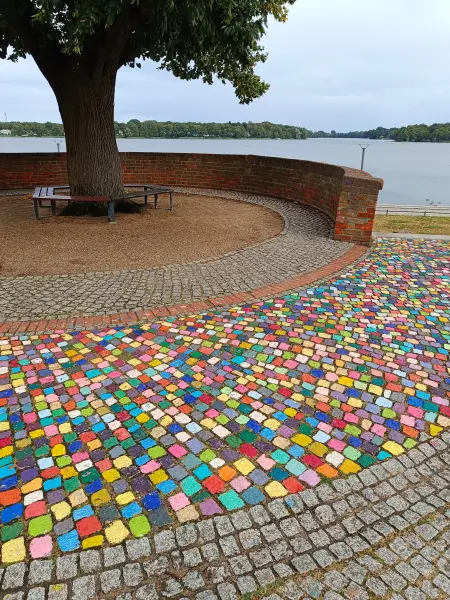 202609050-26 - Ruppiner See bei Neuruppin, Ruppiner Seenland, Brandenburg, Deutschland