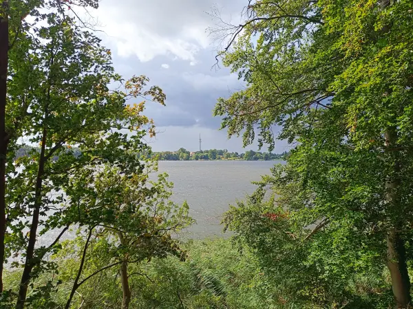 202609050-14 - Ruppiner See bei Wuthenow, Ruppiner Seenland, Brandenburg, Deutschland