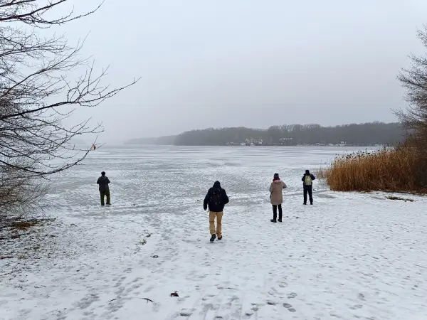 202602070-01 - Sacrower See im Winter, Potsdam, Brandenburg, Deutschland