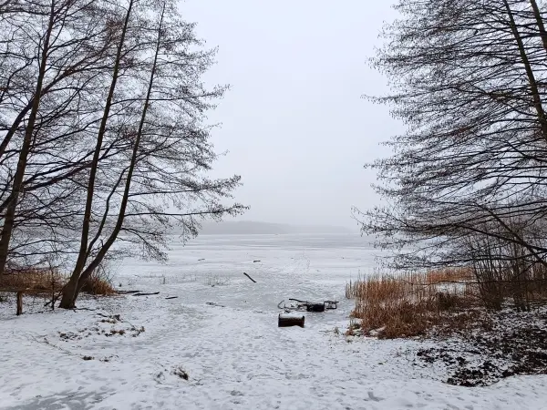 202602070-03 - Sacrower See im Winter, Potsdam, Brandenburg, Deutschland