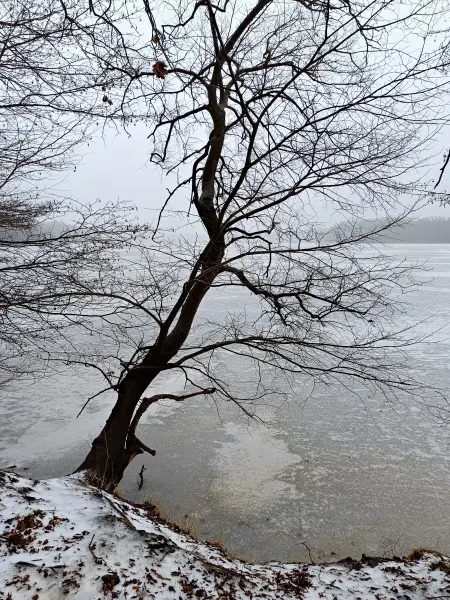 202602070-04 - Sacrower See im Winter, Potsdam, Brandenburg, Deutschland