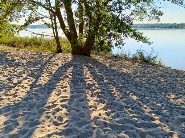 202408260-35 - Sandstrand am Bergwitzsee, Anhalt-Dessau-Wittenberg, Sachsen-Anhalt, Deutschland